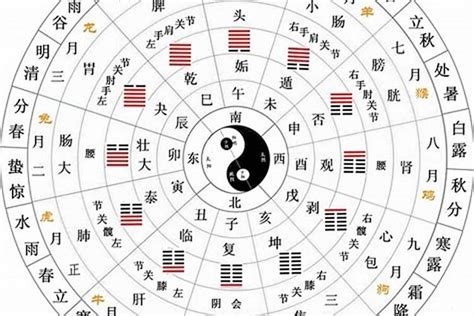 天干 五行|十二天干地支五行对照表 天干地支配对表